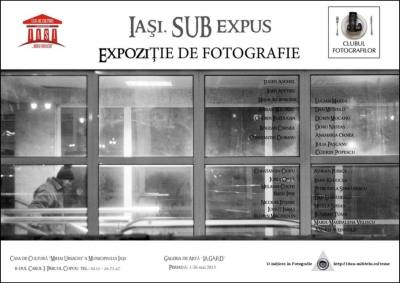 expozitie-Iasi Sub expus 2013