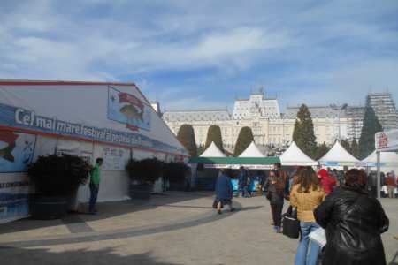Festivalul pestelui Pescia Iasi Palas Mall