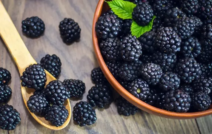 Mure proaspete bogate in antocianine si vitamina E
