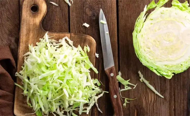 varza un aliment excelent pentru om