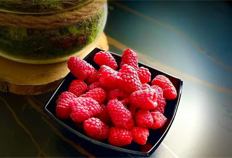 zmeura un fruct special