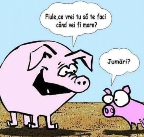 ce vrea sa stie un porc de la fiul lui