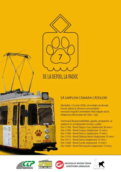 Tramvaiul Responsabilității | Donații câini | Iași Tramvaiul Responsabilității – colectare donații pentru câinii adăpostului municipal, Iași, 13 iunie 2026