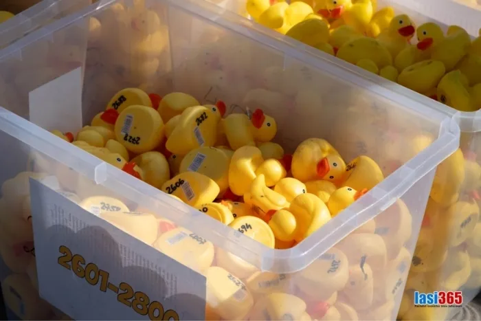 Cursa de rătuște de pe Bahlui 2025 3