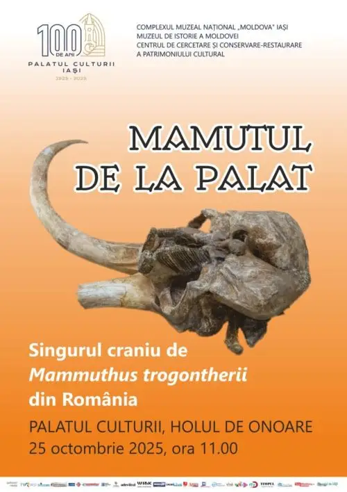 capul de mamut expus la palatul culturii din iasi