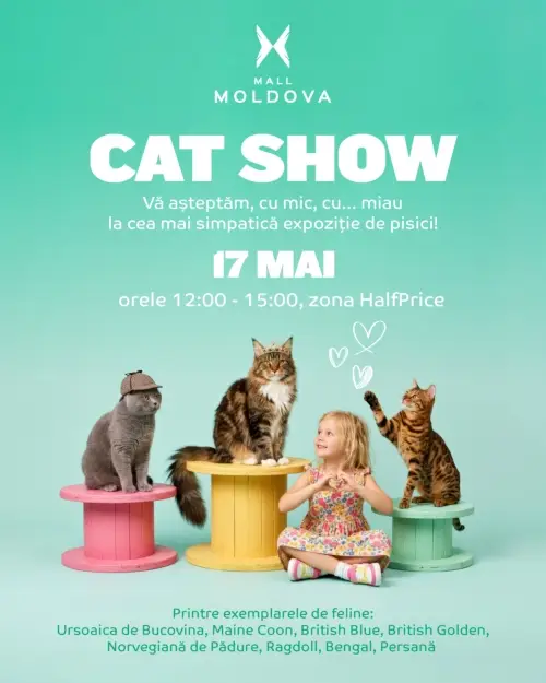 Expoziție de pisici la Mall Moldova &ndash; 17 mai 2025