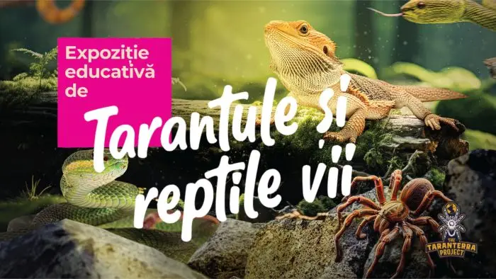 Afisul expozitiei Tarantule și reptile vii de la Palas Mall din Iași 2026
