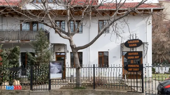 Interior Galeria de artă Dana Iași