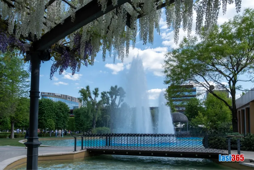 F&acirc;nt&acirc;na arteziană centrală din Parcul Palas cu jocuri de apă și lumini colorate