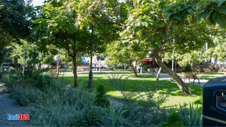 Imagini cu aleile Parcului Mitocul Maicilor din Iasi