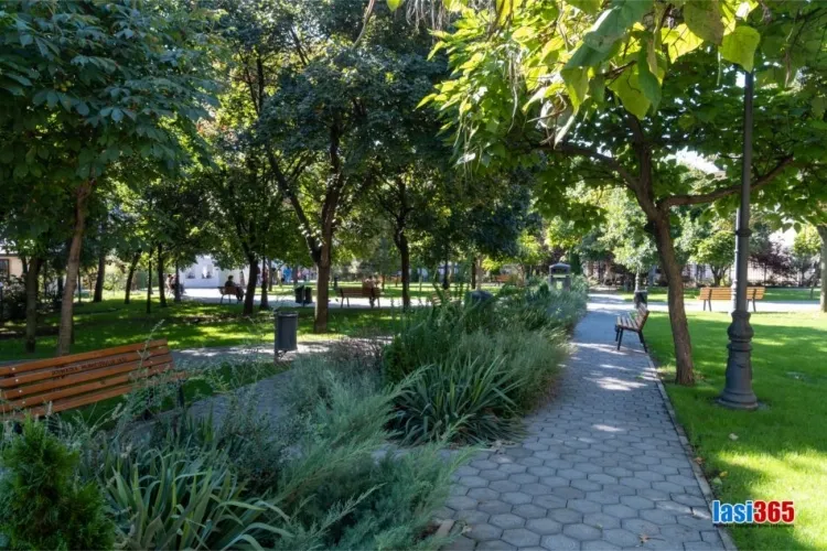 Imagini cu aleile Parcului Mitocul Maicilor din Iasi 4