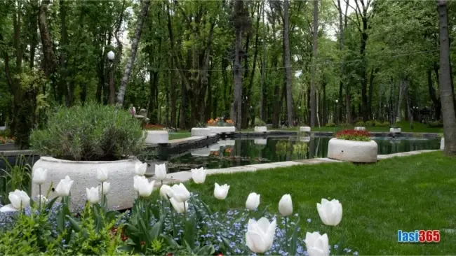 Amenajari din interiorul Parcului Copou din Iași 