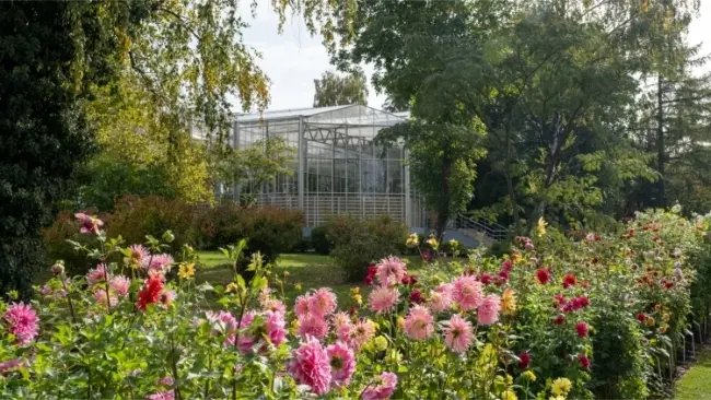 Grădina Botanică Anastasie Fătu din Iași