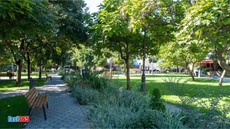 Imagini cu aleile Parcului Mitocul Maicilor din Iasi