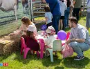 Activități pentru copii la Animal Fest USV Iași 2026