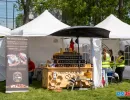 Prisaca Moldova la Animal Fest USV Iași 2026