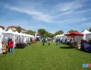 T&acirc;rgul Animal Fest USV Iași 2026 &ndash; vedere generală