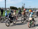 esarfa pe bicicleta la iasi 2025