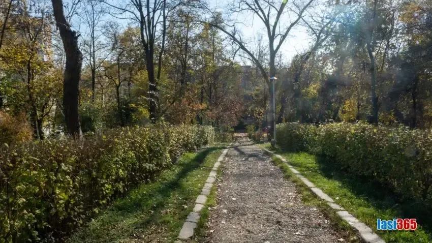 imagine cu o alee din parcul ciurchi din iasi