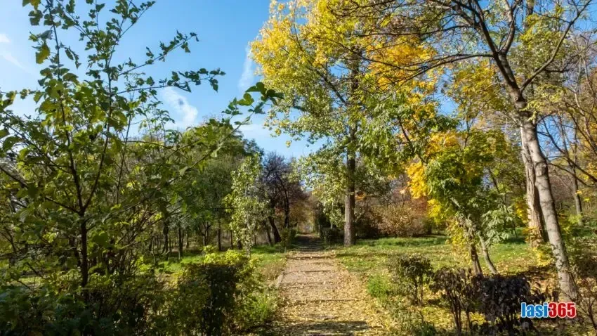 imaginea unei alee din parcul ciurchi din iasi
