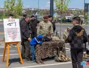 expozitie tehnica militara mall moldova din iasi