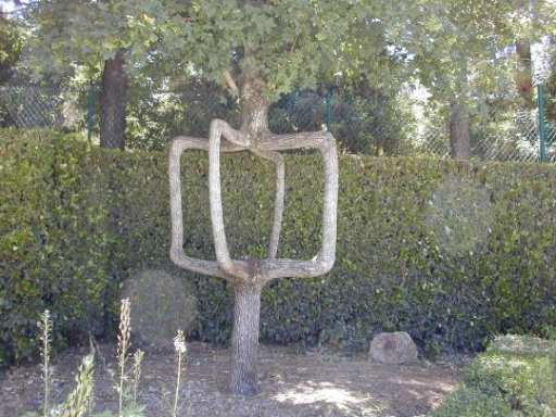 Copac modelat de Axel Erlandson