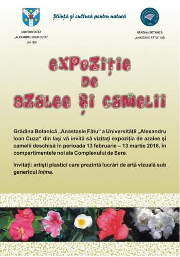 expozitia de azalee si camelii la gradina botanica anastasie fatu