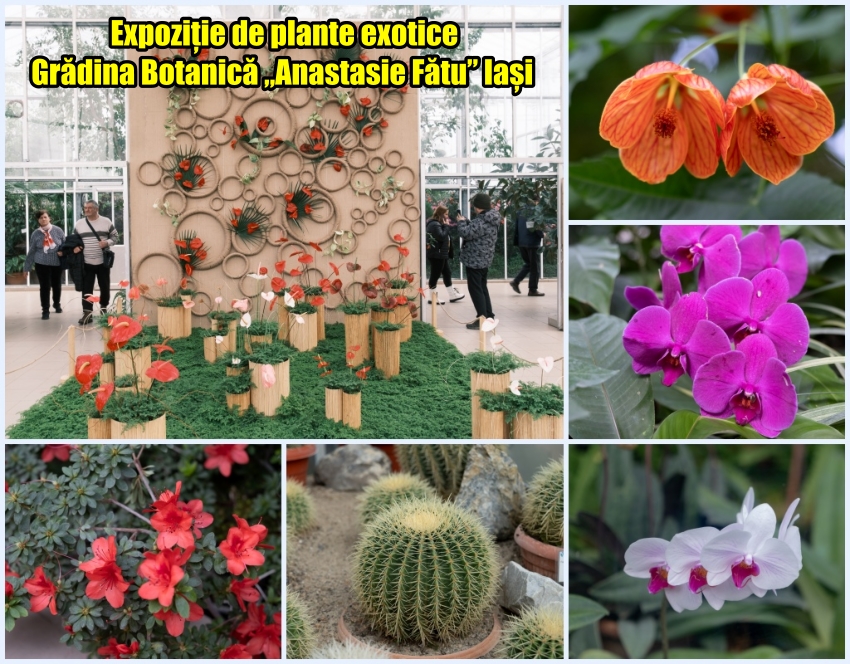 Expozitia de plante exotice de la Gradina Botanica din Iasi februarie 2024