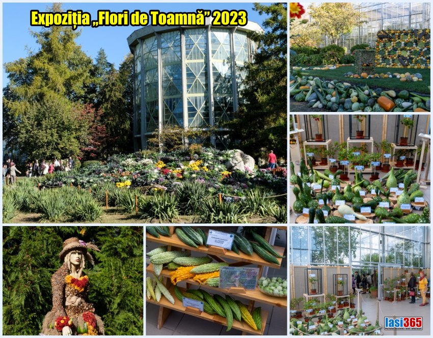 Colaj de imagini cu Expozitia Flori de toamna Gradina Botanica Iasi 2023