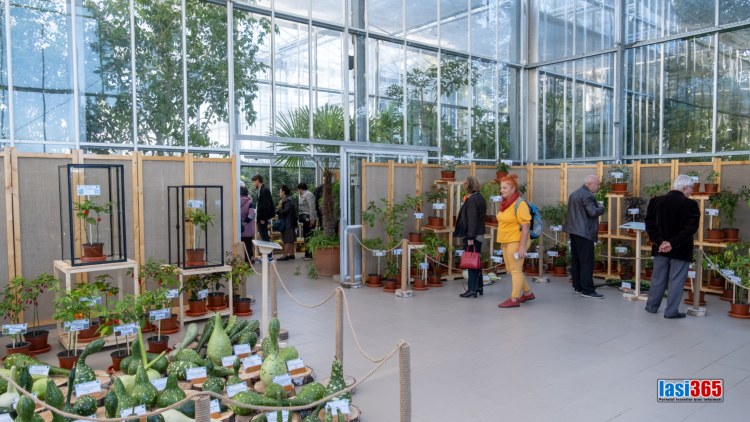 Expozitia Flori de toamna Gradina Botanica Iasi 2023 3