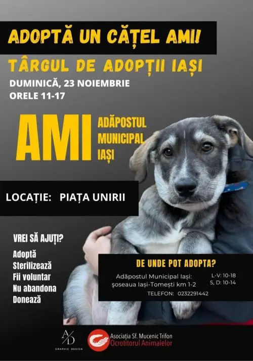 Afis Targ de adoptii animale in Piata Uniri din Iasi