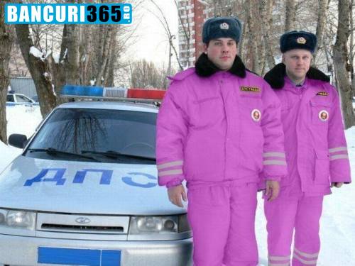 politisti-roz