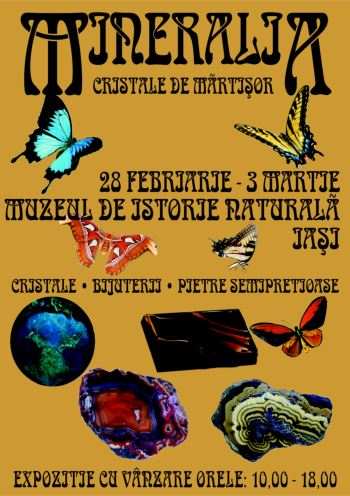 expozitie-mineralia-februarie-2013