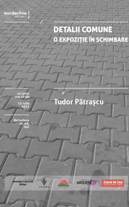 Expozitie Tudor Pătrașcu - Detalii comune | O expoziție în schimbare, 14 iunie – 12 iulie 2022