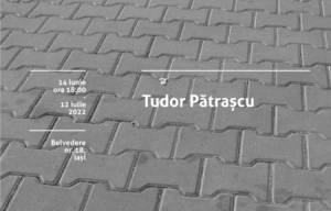 Expozitie Tudor Pătrașcu - Detalii comune | O expoziție în schimbare, 14 iunie – 12 iulie 2022