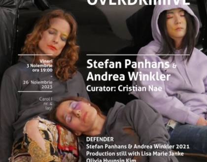 Expoziția de artă video Stefan Panhans și Andrea Winkler - „Anima Overdriiiiive”, 3 - 26 noiembrie 2023
