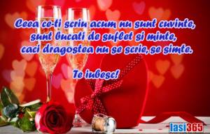 Mesaje de Valentine's Day 2023 - cele mai frumoase mesaje de dragoste