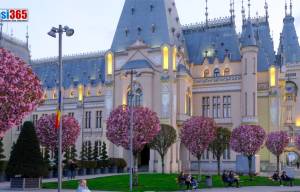 Palatul Culturii din Iași - program vizitare, prețuri bilete, istoric, informații diverse
