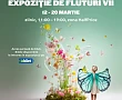 Expoziție Fluturi vii la Mall Moldova in perioada 12 - 20 martie 2026