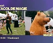 spectacol copii magicianul alex palas mall iasi mai 2026