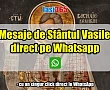 Felicitare digitală Sfântul Vasile 2026 cu butoane de trimitere directă pe WhatsApp