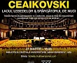 Concert Multisenzorial Ceaikovski in Aula BCU Iași pe 27 martie 2026