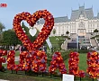 Expozitie flori in Iasi, Florall Iasi,  imagine de la Festivalul florilor din Gradina Palas