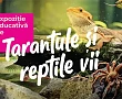 Afisul expozitiei Tarantule și reptile vii de la Palas Mall din Iași 2026