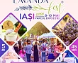 Lavanda Fest ediția 45 la Iași: trei zile de parfum, culoare și branduri românești