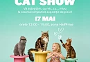Expoziție de pisici la Mall Moldova &ndash; 17 mai 2025