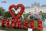 Expozitie flori in Iasi, Florall Iasi,  imagine de la Festivalul florilor din Gradina Palas