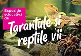 Afisul expozitiei Tarantule și reptile vii de la Palas Mall din Iași 2026