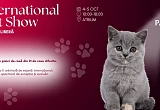 international cat show in Atrium Palas mall octombrie 2025