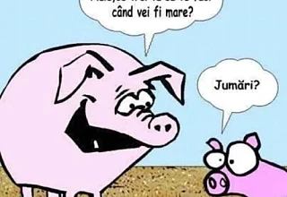 ce vrea sa stie un porc de la fiul lui